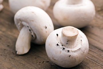 Champignons