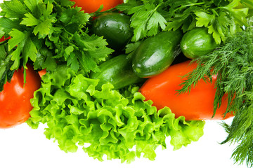 Fresh Vegetables
