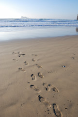 steps on the beach