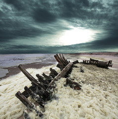 Skeleton coast