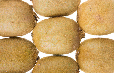 Kiwi isolated on white background