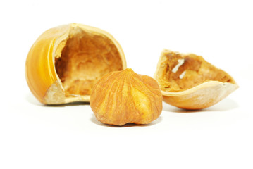 hazelnuts  on  white