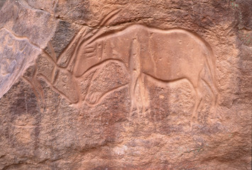 afrique,maghreb,libye : gravure rupestre, sud-ouest