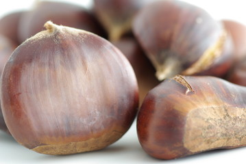 marrons chaud