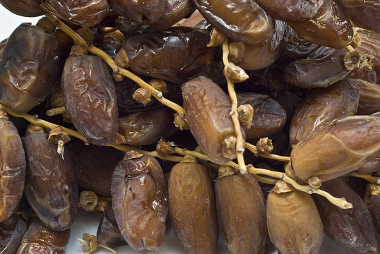 Ramas de palmera datilera con su fruto.