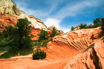 Slopes of Zion canyon. Utah. USA