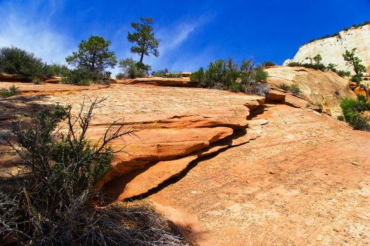 Reliefs of Zion Canyon
