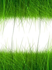 Obraz premium high resolution 3d green grass frame isolated on a white