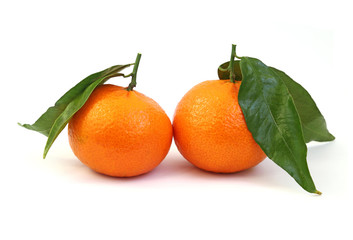 orange mandarins
