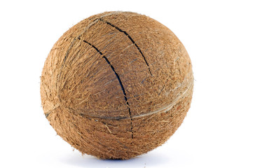 coconut