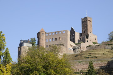 Fototapeta premium Burgruine in Wertheim