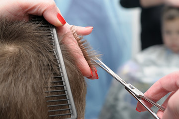 Kid haircut