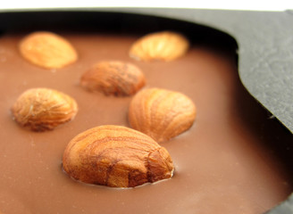 Chocolate with hazelnuts and almonds