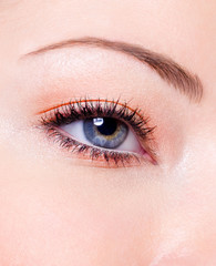 fashion makeup of a female eye