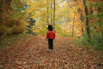 child outdoor in forest