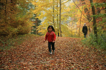 Fototapeta premium child outdoor in forest