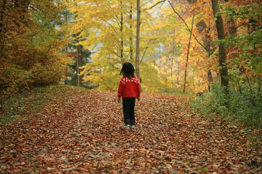 Child Outdoor In Forest