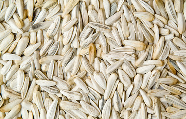 sunflower seeds