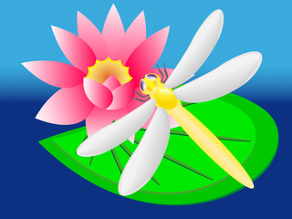 dragonfly on lily vector illustration