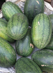 Melonen
