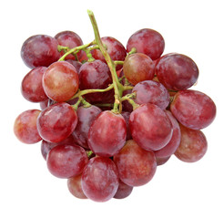 raisin rosé grappe fond blanc