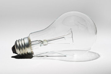 Bulb
