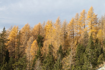 Seyne-les-Alpes