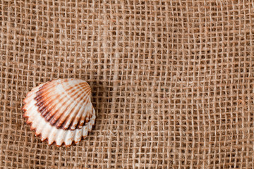 shell laing on jute
