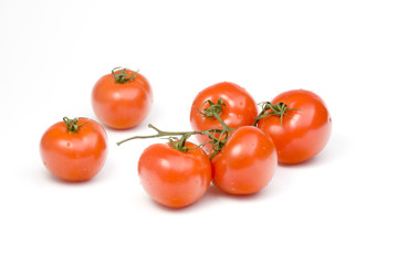 tomatoes