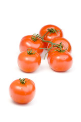 tomatoes