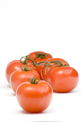 tomatoes