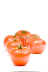 tomatoes