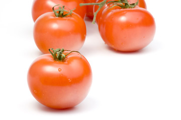 tomatoes