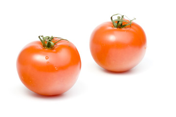 tomatoes