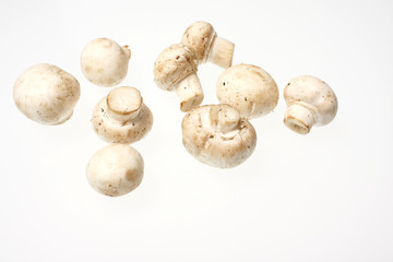 Crimini mushrooms isolated on white.