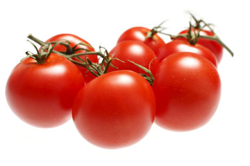 Fresh red tomatoes on the vine