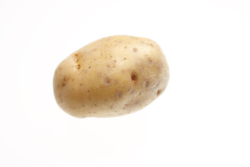 Yellow potato isolated on white.