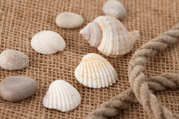 shell laing on jute