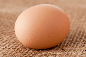 egg laying on jute