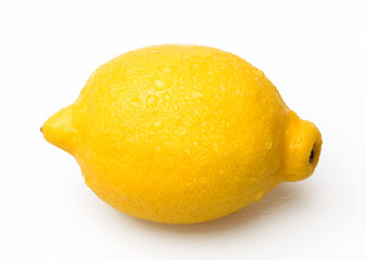 Wet single Lemon