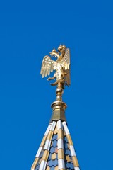 Fototapeta na wymiar The State Emblem of Russian Federation: double-headed eagle on t