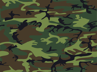 Fototapeta premium Camouflage II