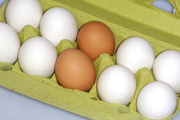 Eier im Karton
