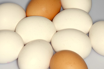 Braune und Weiße Eier