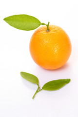 Orange fruit on white