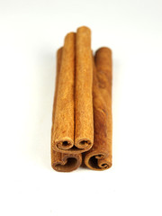 Cinnamon bark isolated on a white background.