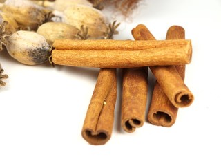 Cinnamon bark with dry poppy isolated on a white background.