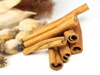 Cinnamon bark with dry poppy isolated on a white background.