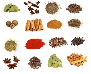 Collection of various kinds of spices on white background