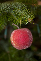 christmas decoration